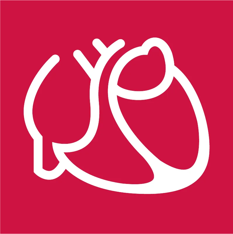 Logo Deutsche Gesellschaft für Kardiologie – Herz- und Kreislaufforschung e.V.