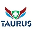 Logo TAURUS INSTRUMENTS